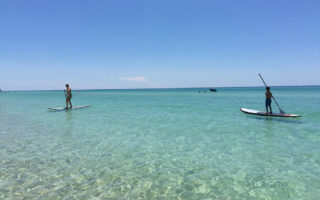 Things To Do Panama City Paddleboards